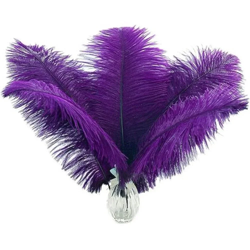 Purple Ostrich Feathers Bulk -24Pcs 10-12inch Feathers for Vase,Party Mardi Gras